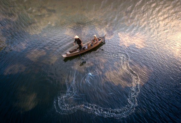 rare baby whale shark