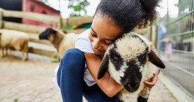 Pittsburgh-Area Petting Zoo Welcomes Surprising New Animal