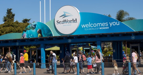 Woman Is Suing SeaWorld After Being Struck In The Face By A Bird