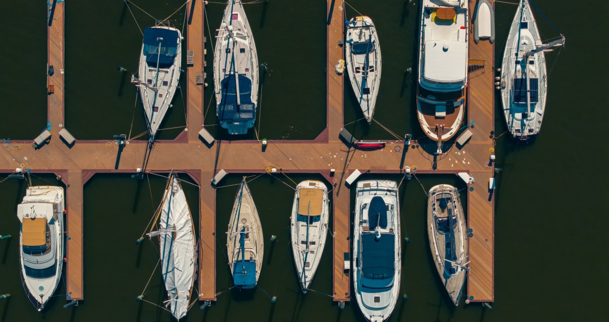 Woman Launches Impressive Rescue Of A Rabbit About To Drown At Boat Dock