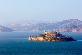 coyote alcatraz