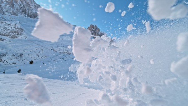 avalanche skier dog