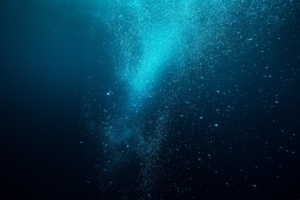 deep sea jellyfish rare