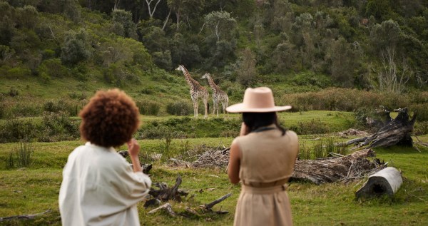 How AI And Tech Evolution Have Benefited Wildlife Monitoring