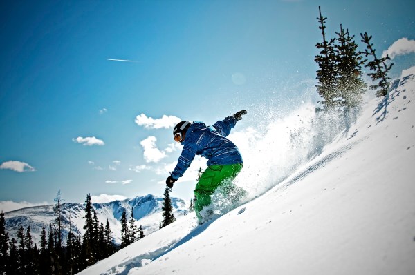 rare animal snowboarder