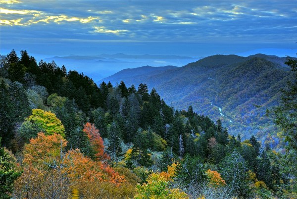 national parks most visited 2025