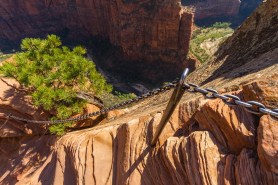 hiker angel's landing dies