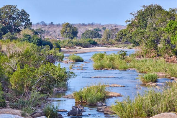 murders kruger national Park